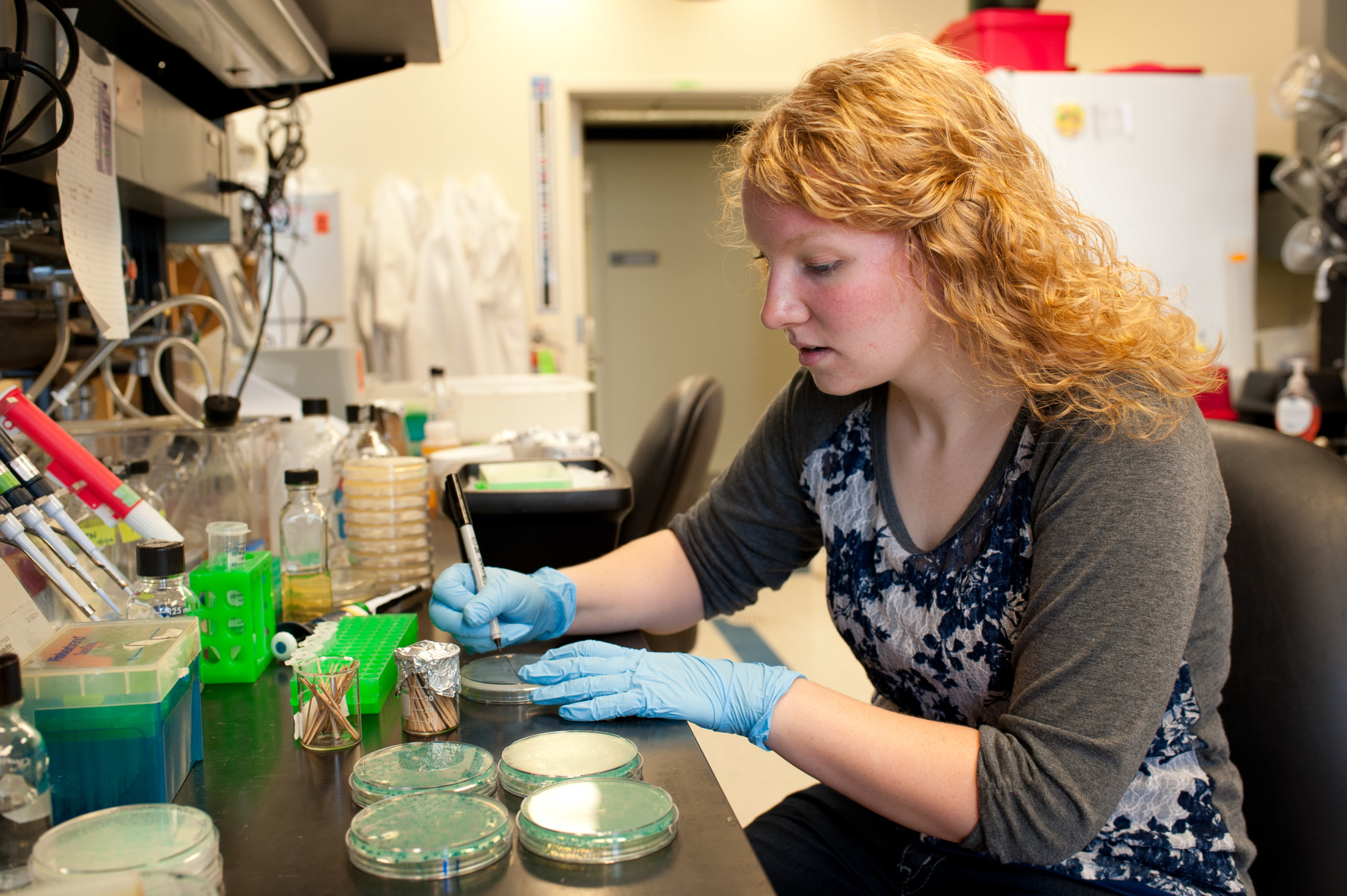 Student working at lab bench